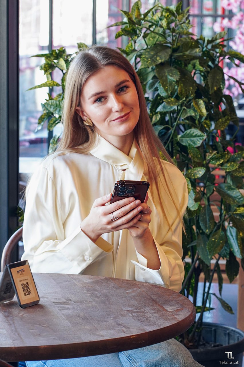 Professional Journey